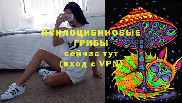 бошки Абинск