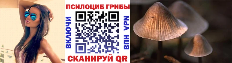 Псилоцибиновые грибы ЛСД Кингисепп